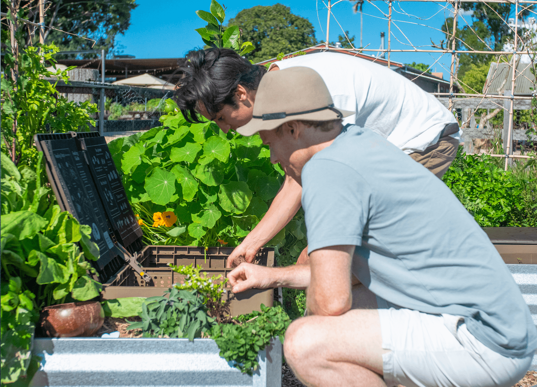 How to turn kitchen waste into compost