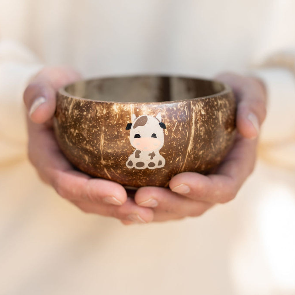 Gifts for Nature Lovers - Coconut Bowls