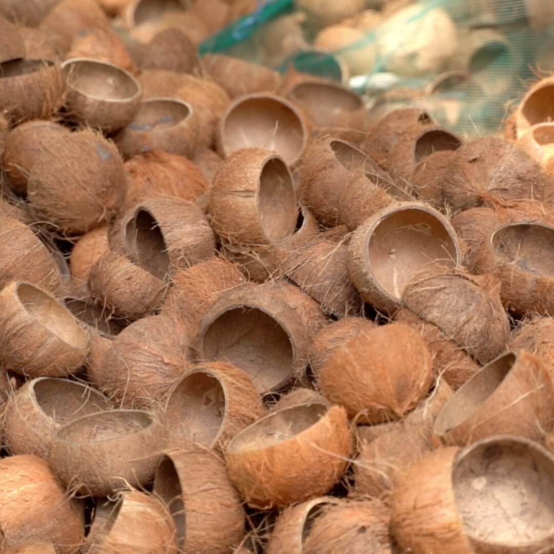 Buy Dry Coconut Shells Online -NatureLoc