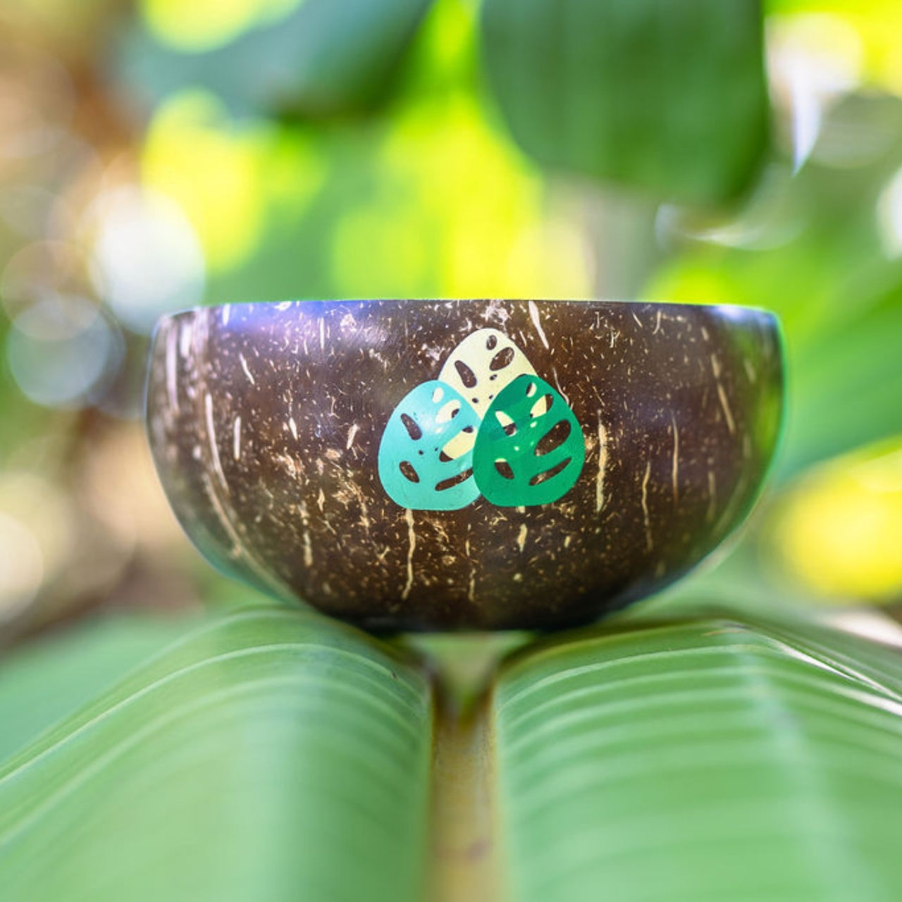 Gifts for Nature Lovers - Coconut Bowls