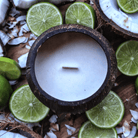 Coconut Lime Soy Candle by Coconut Bowls